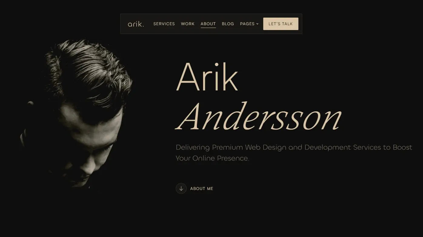 Arik portfolio